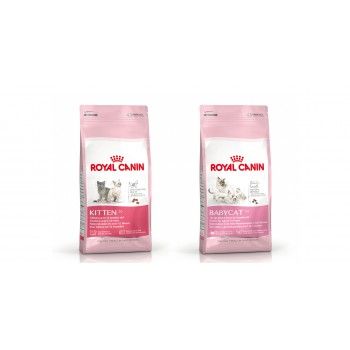 Royal-Canin-Cat-Food---Growth-Age